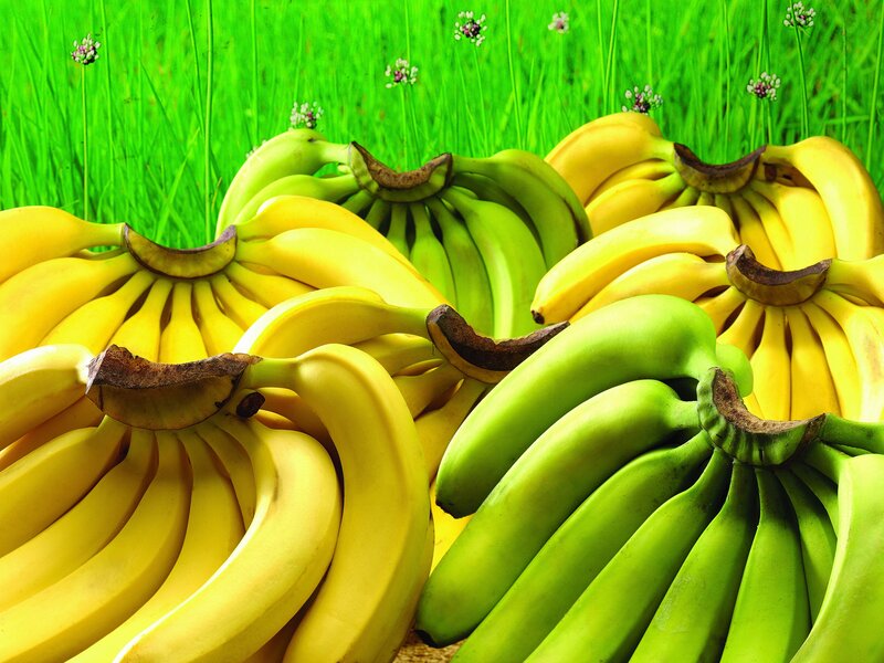 Bunches of bananas in grass