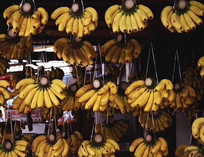 Bunches of Bananas