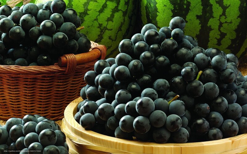 Bunches of Black Grapes — Natural