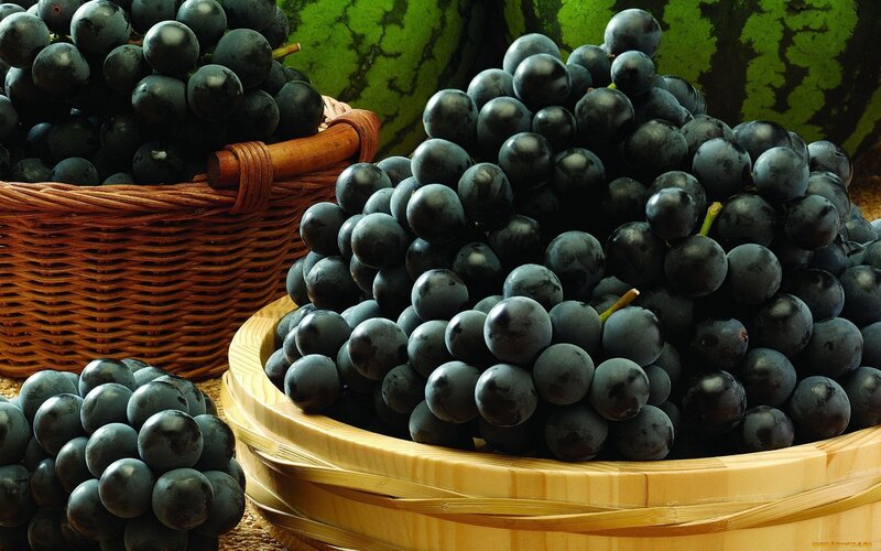 Bunches of Black Grapes