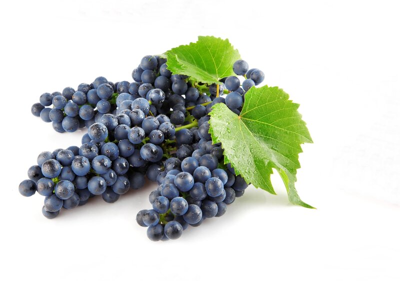 Bunches of Dark Grapes — Blue, Fresh
