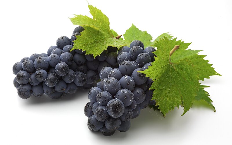 Bunches of Dark Grapes — Purple
