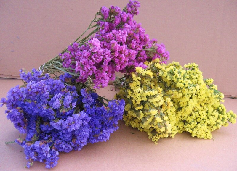 bunches of dried flowers