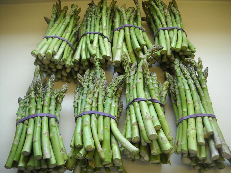 Bunches of Green Asparagus