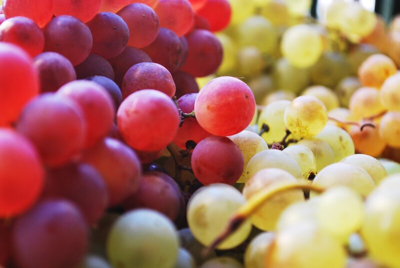 Bunches of Red and Green Grapes