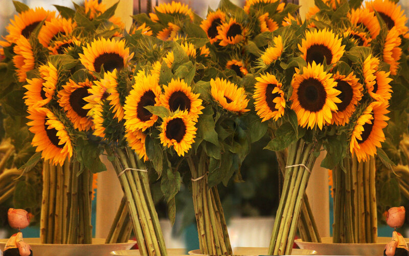 Bunches of Sunflowers — Yellow