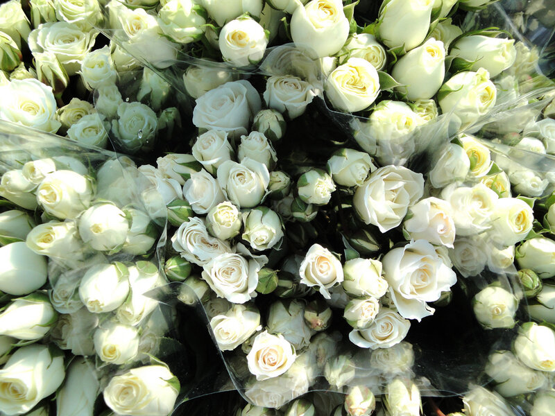 bunches of white roses
