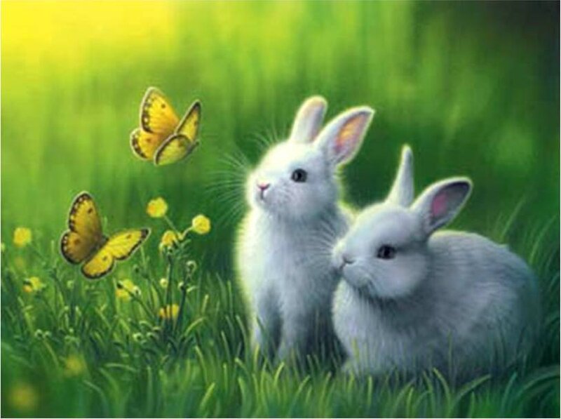 bunnies and butterflies in a field