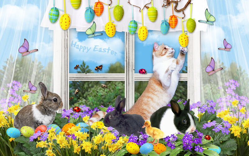 Bunnies and Cat in Flowers