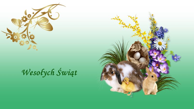 Bunnies and Duckling