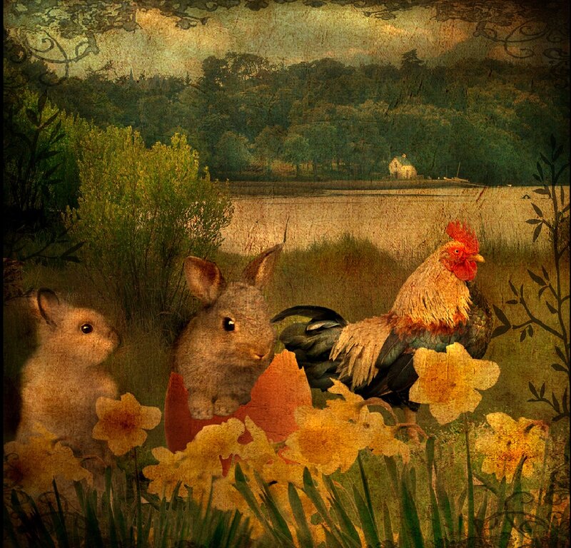 Bunnies and Rooster