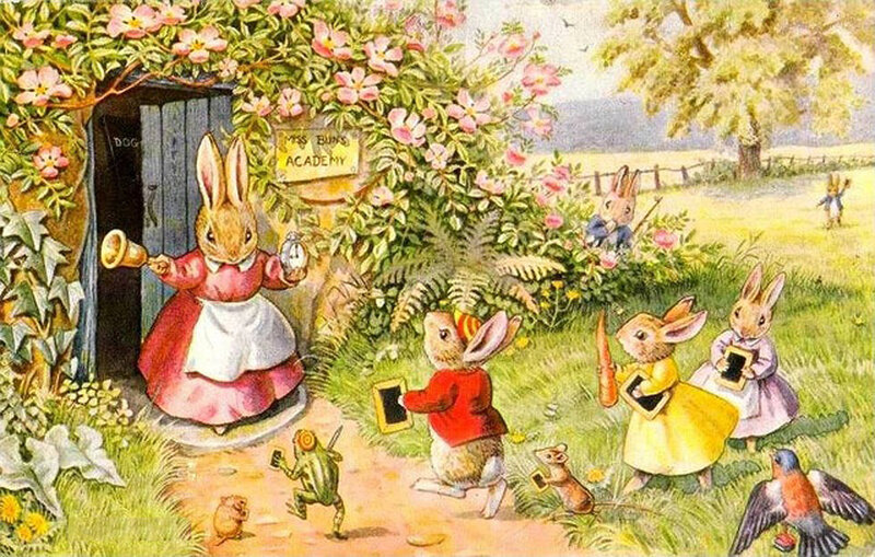 Bunnies at School