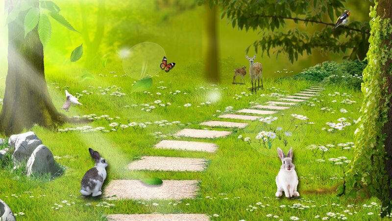 Bunnies in a Meadow