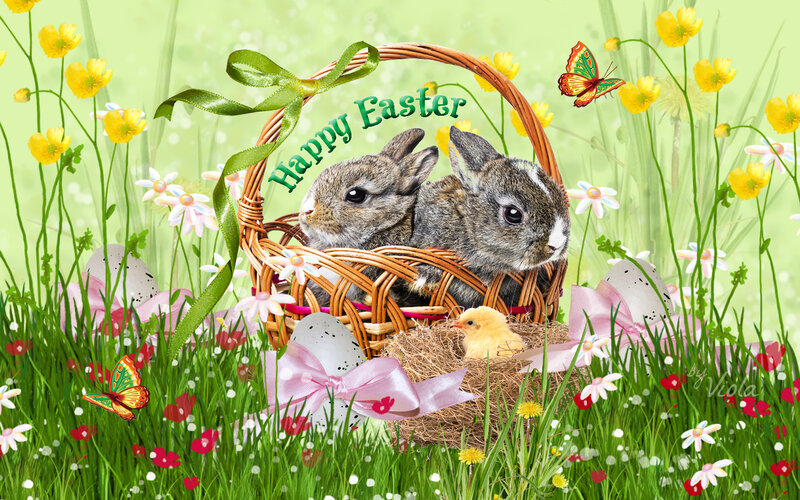 Bunnies in Basket — Green, Festive, Spring