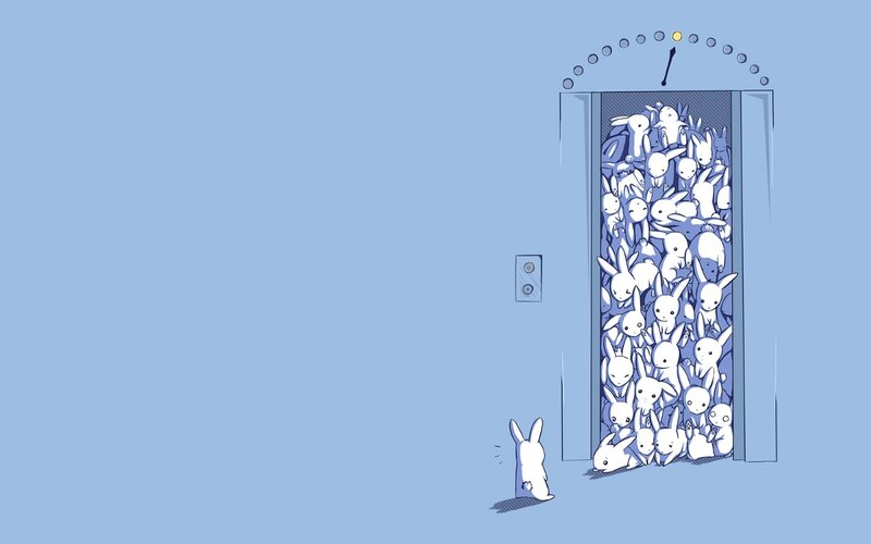 Bunnies in Elevator