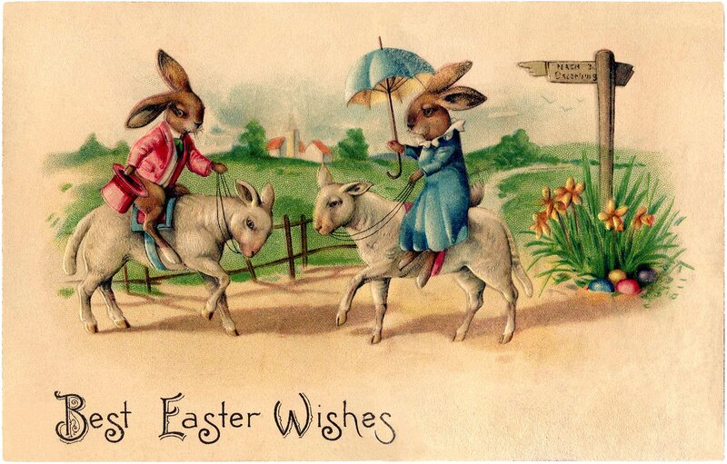 Bunnies Riding Donkeys