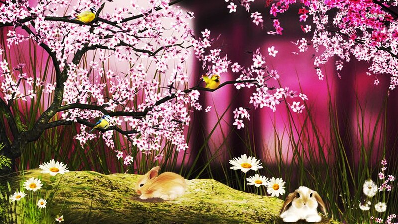 Bunnies under Cherry Blossoms — Pink