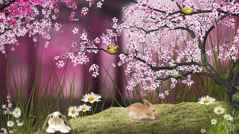 Bunnies under Cherry Blossoms