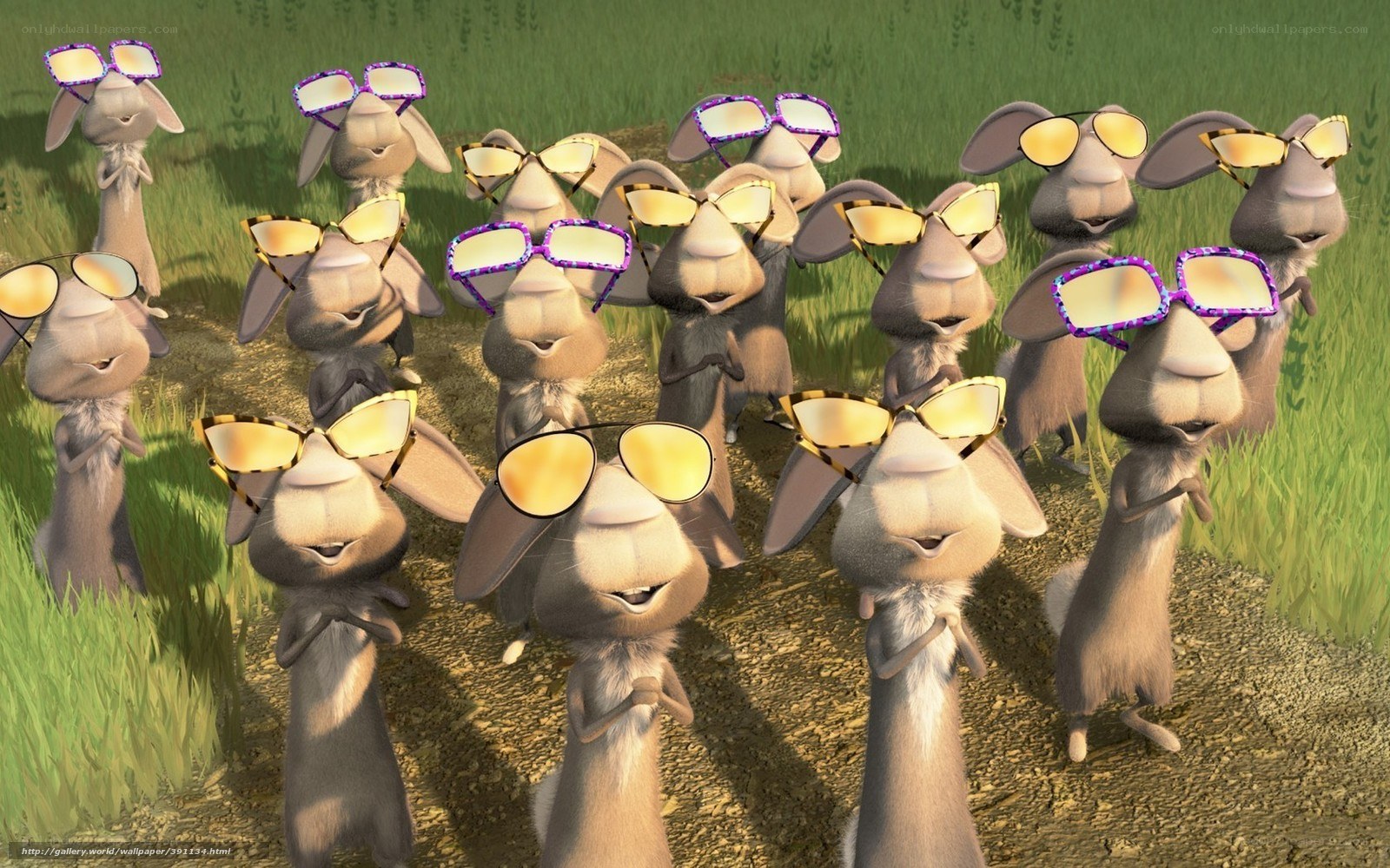 bunnies wearing sunglasses