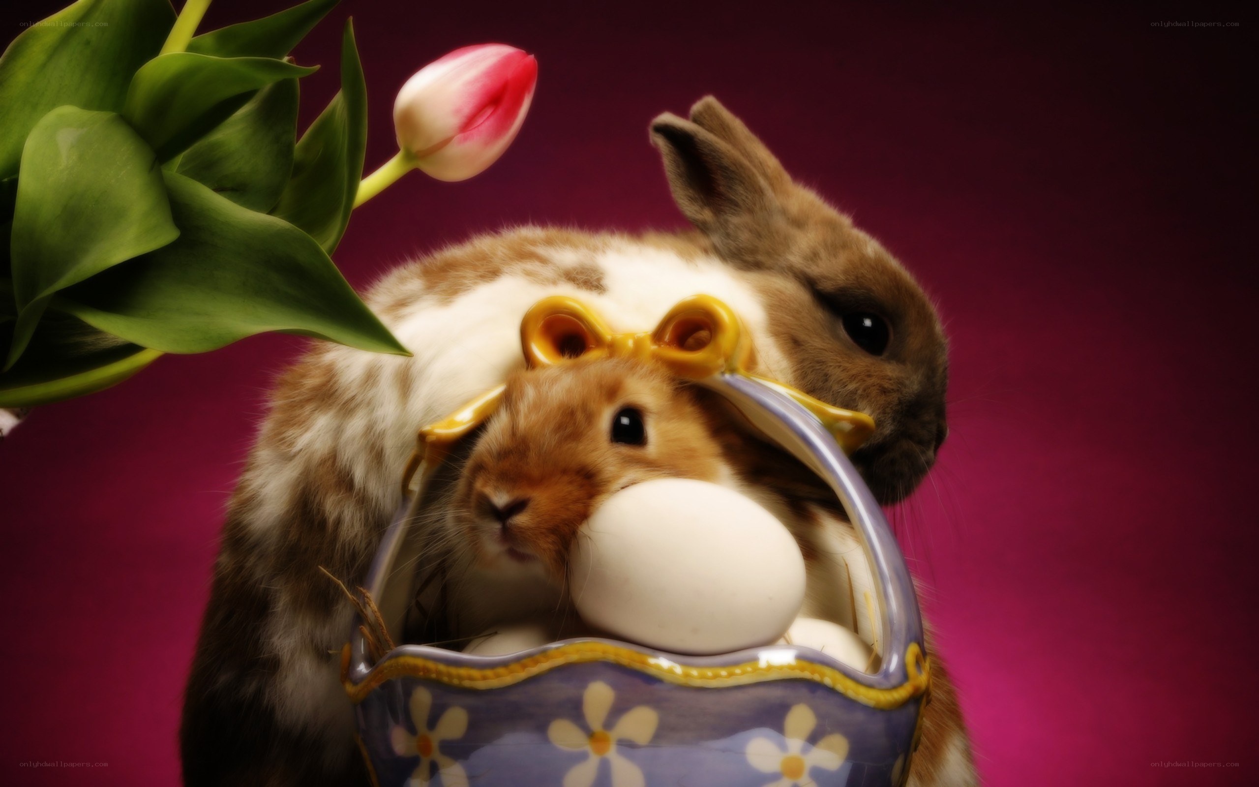 bunnies with easter egg