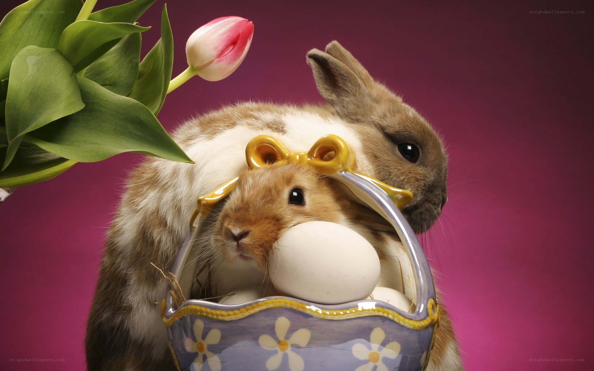 bunnies with Easter eggs