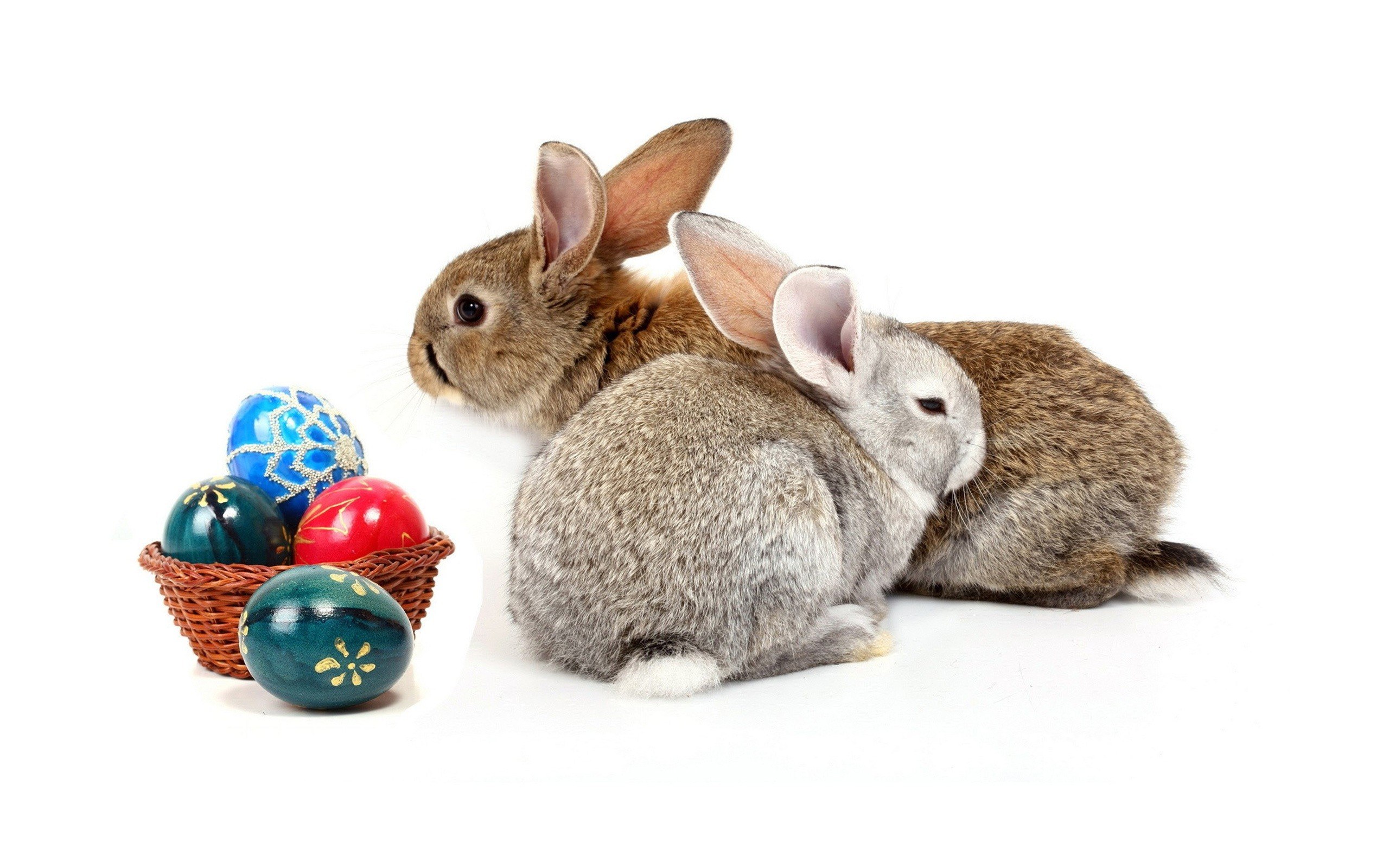 bunnies with easter eggs