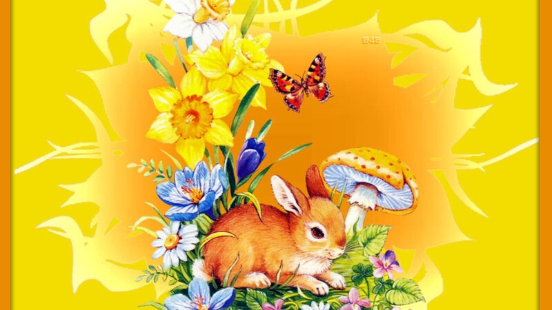 Bunny Among Flowers