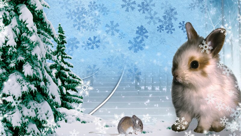 Bunny and Mouse in Snow