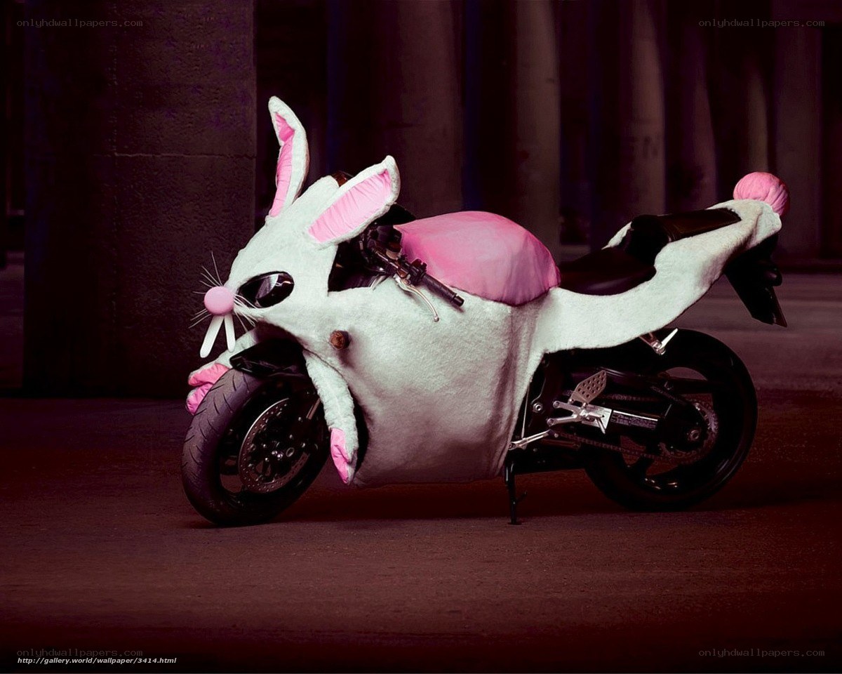 bunny-covered motorcycle