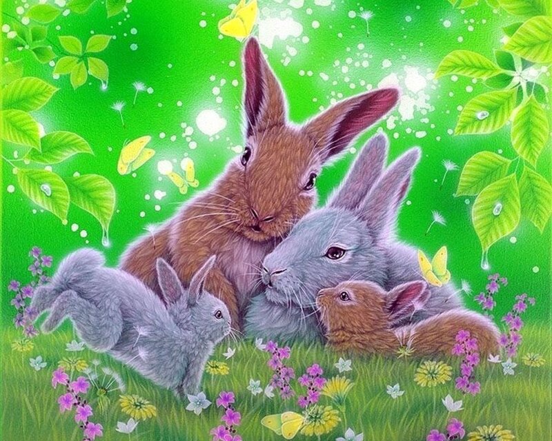 Bunny Family in Field — Green, Serene, Spring
