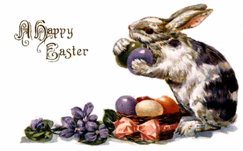 Bunny Holding Eggs