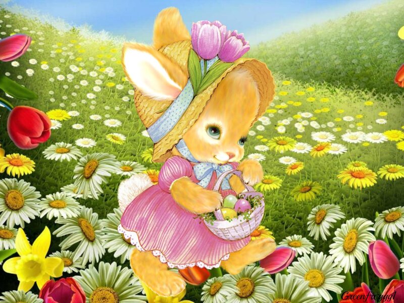 Bunny in a Field