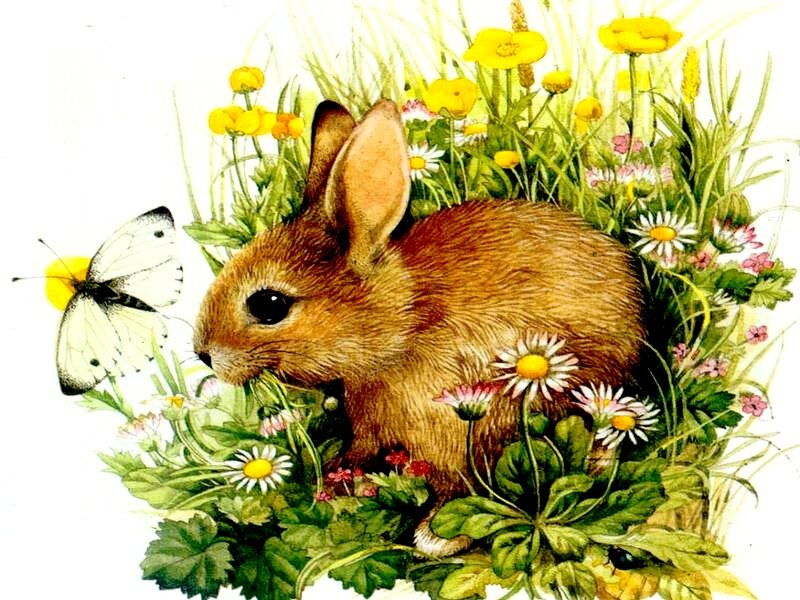 bunny in a flower garden
