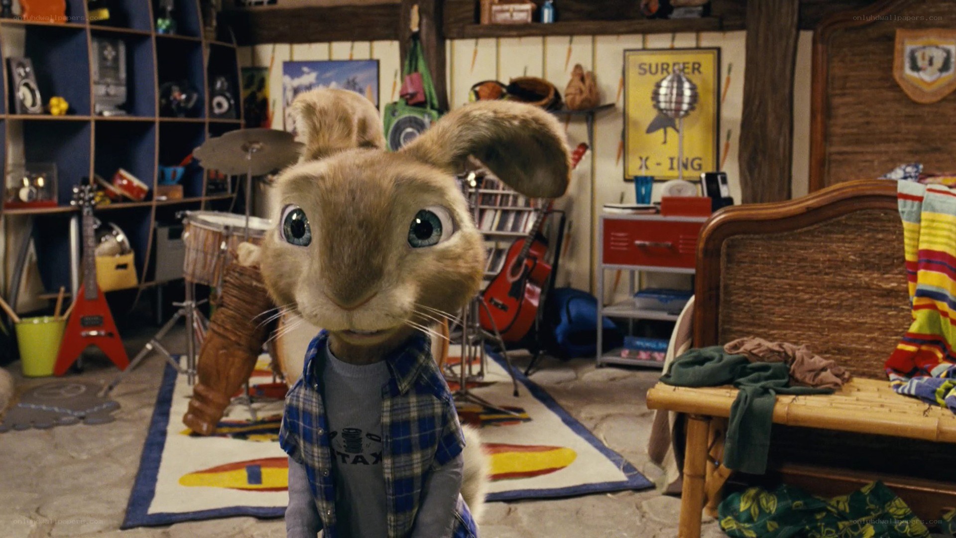 bunny in a messy room