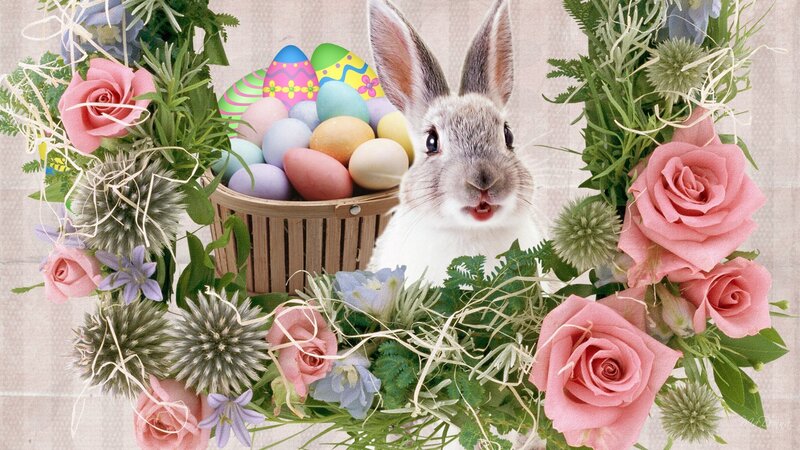 Bunny in Floral Wreath