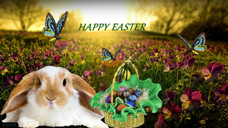 Bunny in Flower Field