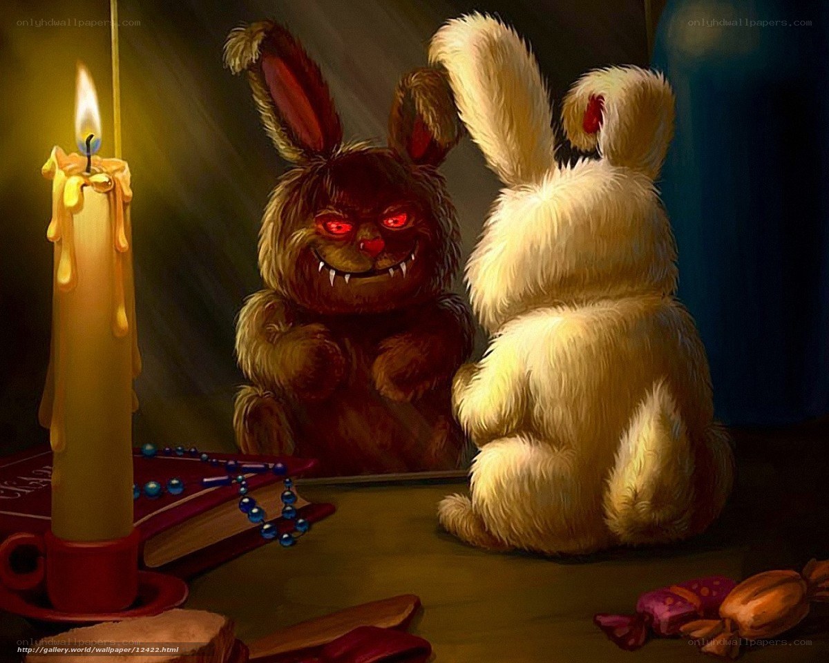 Bunny in the mirror