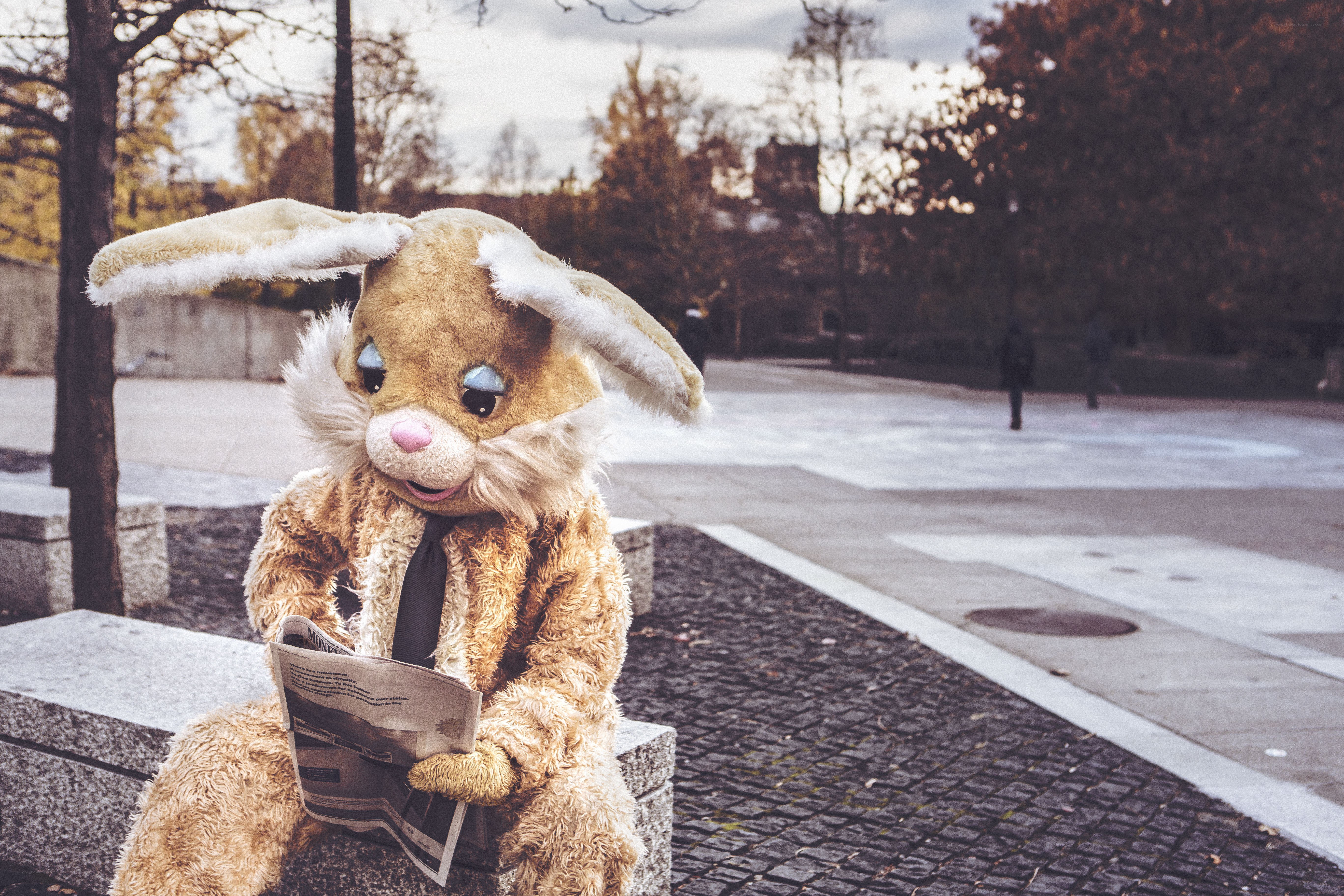 bunny mascot reading newspaper