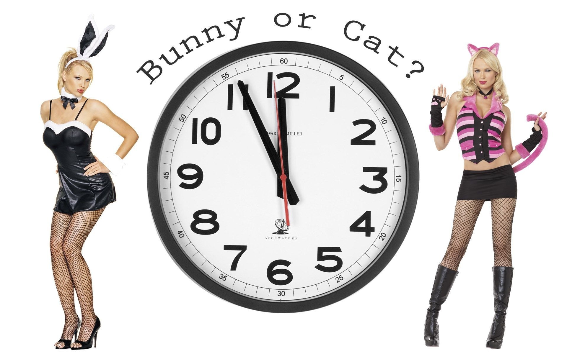 Bunny or Cat Costume Comparison