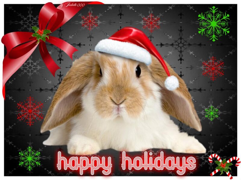 Bunny Wearing Santa Hat