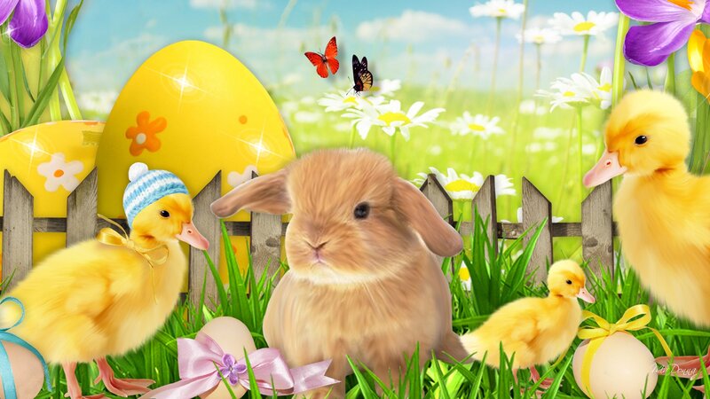 Bunny with Ducklings