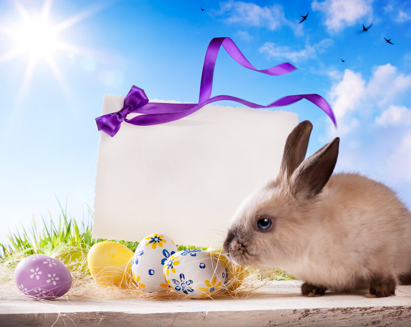 Bunny with Easter Eggs — Blue, Serene