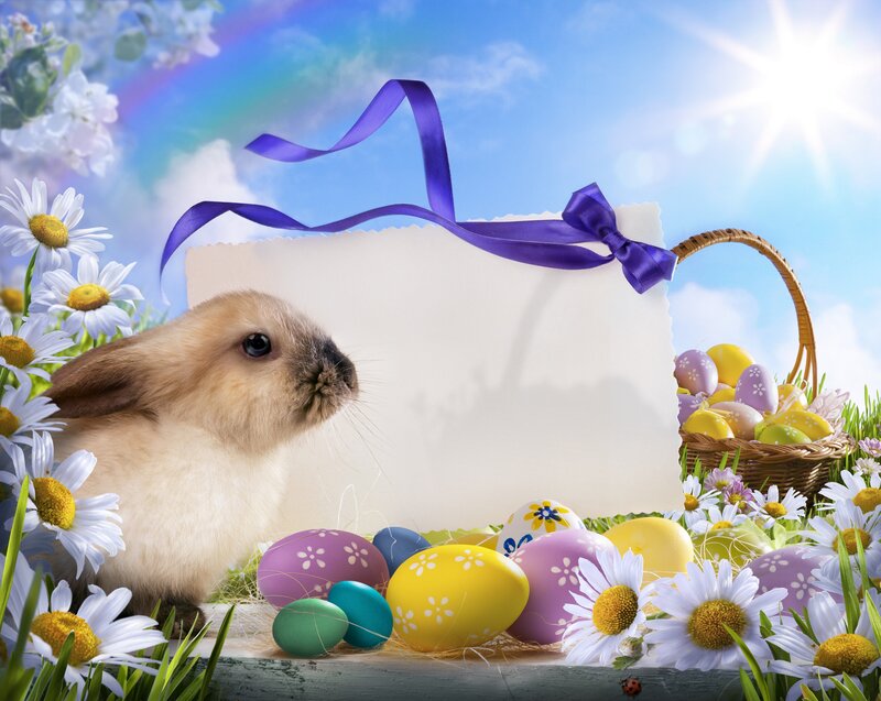 Bunny with Easter Eggs — Blue