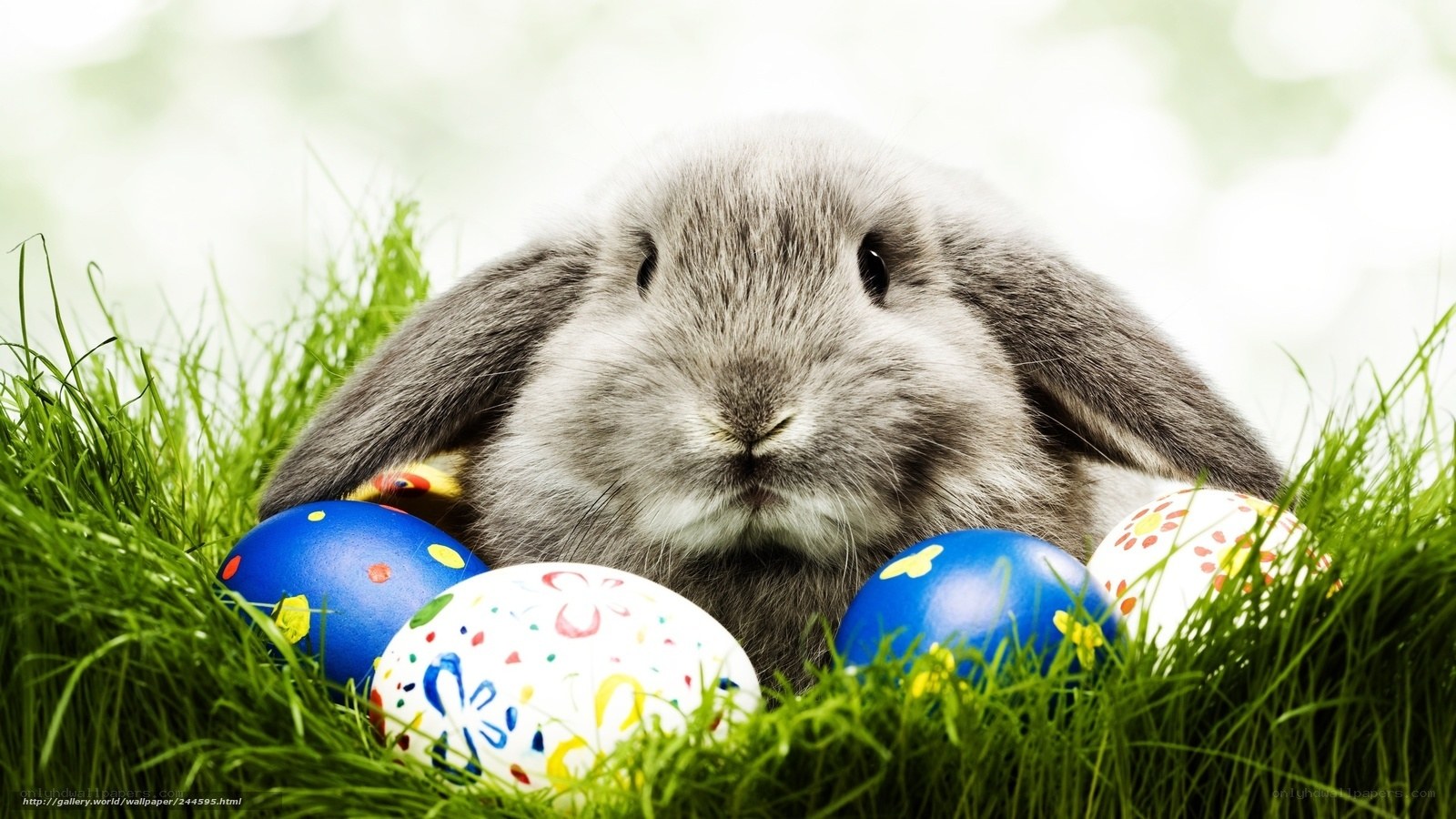 bunny with easter eggs