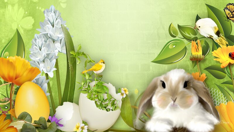 Bunny with Flowers and Birds