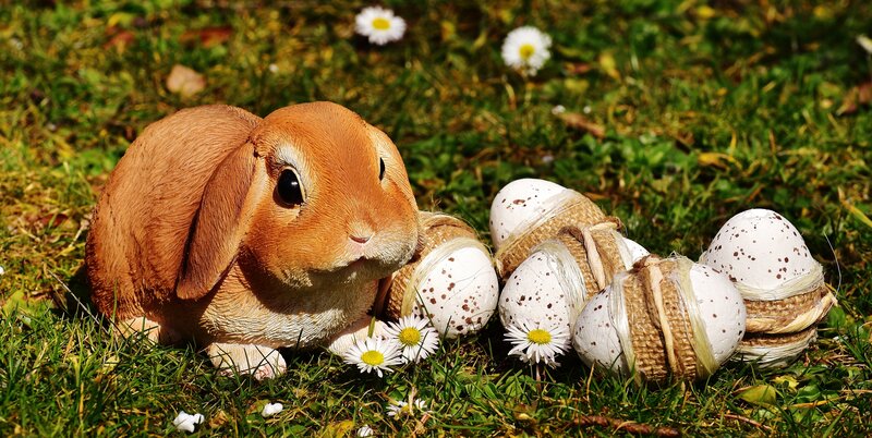 bunny with speckled eggs