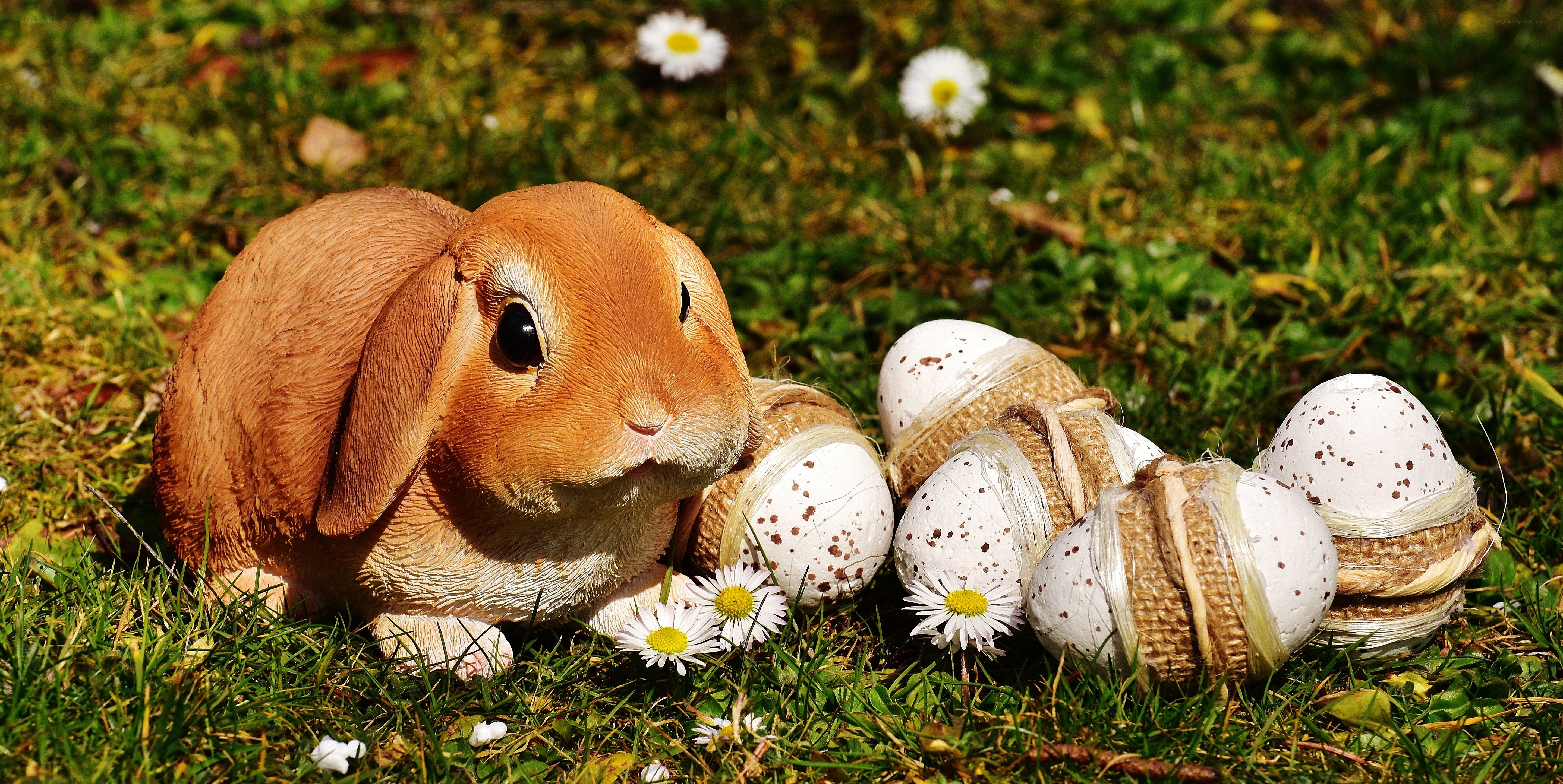 bunny with speckled eggs