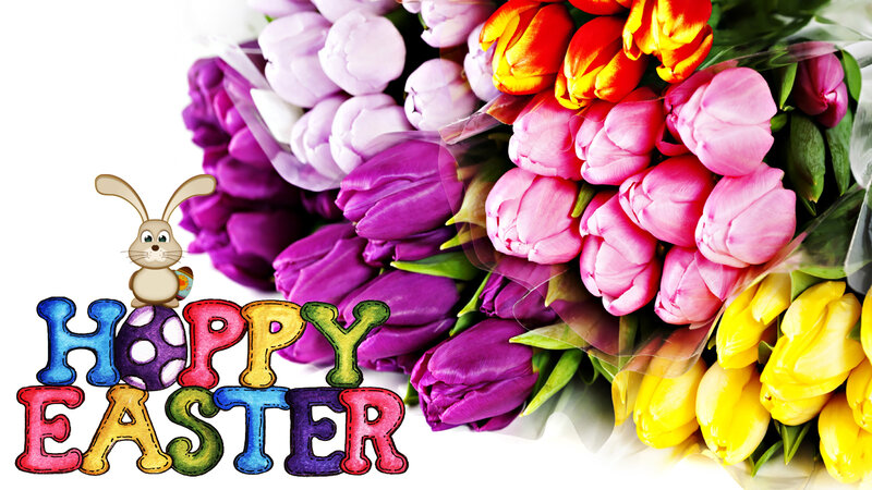 Bunny with Tulips — Purple