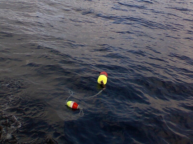 Buoy floating in the ocean