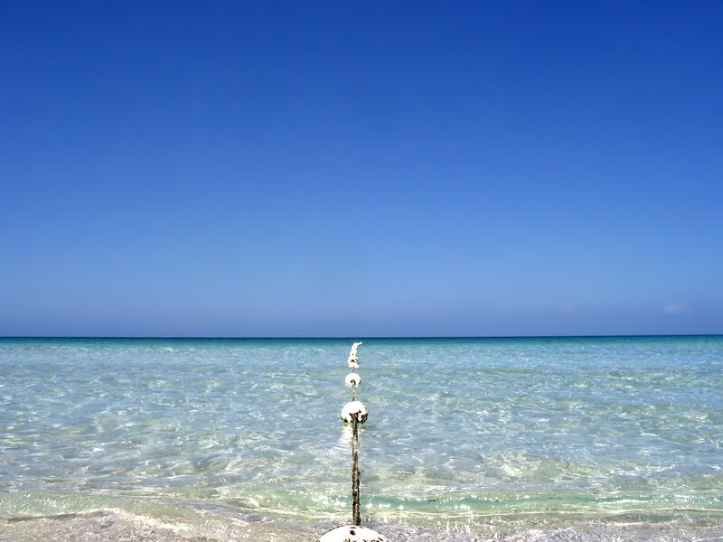Buoy in Clear Water — Blue